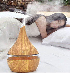 [2227] LED Ultrasonic Aroma Diffuser Essential Oil Humidifier Air/ Aroma Purifier