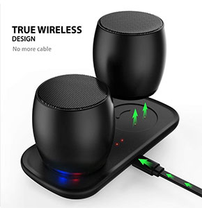 [2440] Sardine true wireless stereo dual speakers TWS portable BT 4.2+EDR