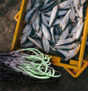 [2730] High Carbon Steel Luminous hook Jigging Bait Barbed Fishing Hooks